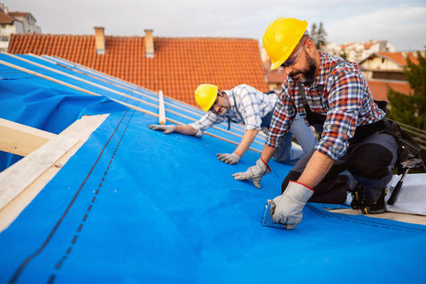 Roof Gutter Cleaning in Hawi, HI