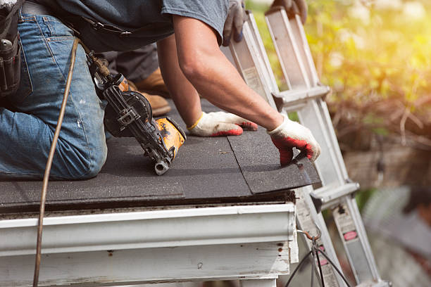 Best Roof Gutter Cleaning  in Hawi, HI