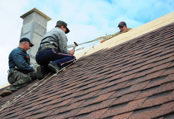 Best Roof Repair Services  in Hawi, HI